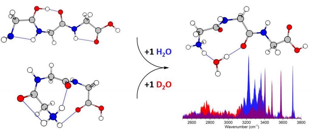 H2O vs D2O clusters