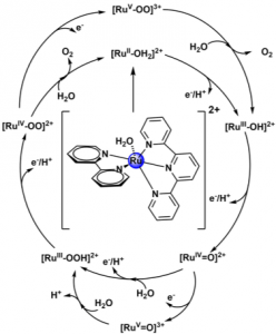Water oxidation mechanism