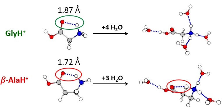 GlyH/BetaAlaH
