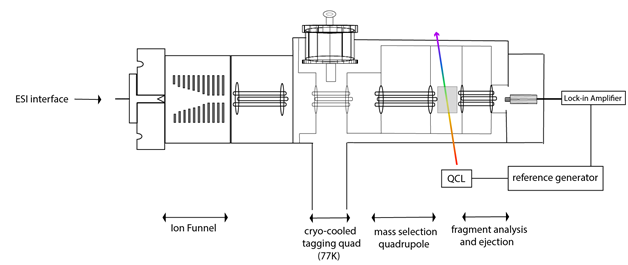 LC-MS-IR